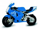 2006 Polini 910 GP3 Reverse photo